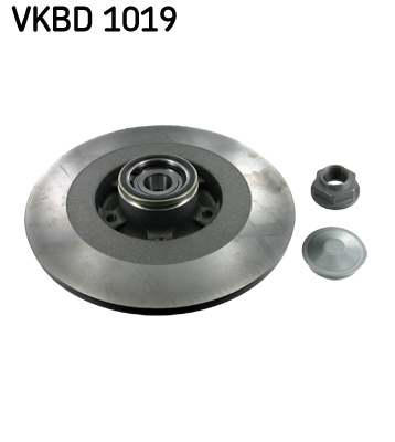 Disc frana VKBD 1019 SKF